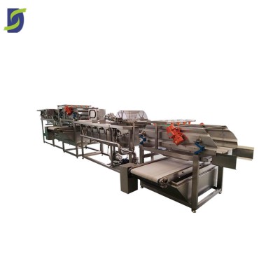 Conveyor Industrial Washer Dryer Machine For Apricot Cheaper