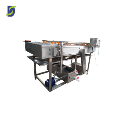 industry mandarin papaya polish washing drying process machine