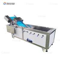 WA-1000 stainless steel vegetable and fruit brush washing machine for high quality